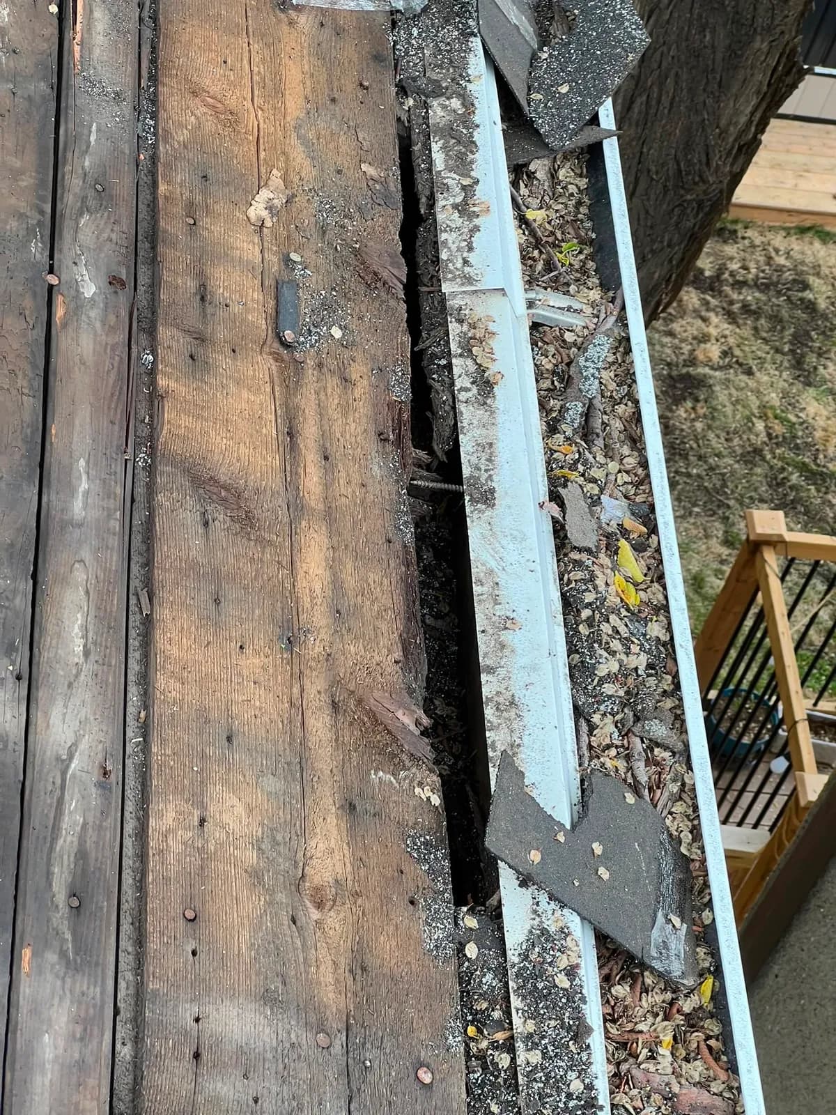 Close-up of rotted eaves and roof edge documented for an insurance claim
