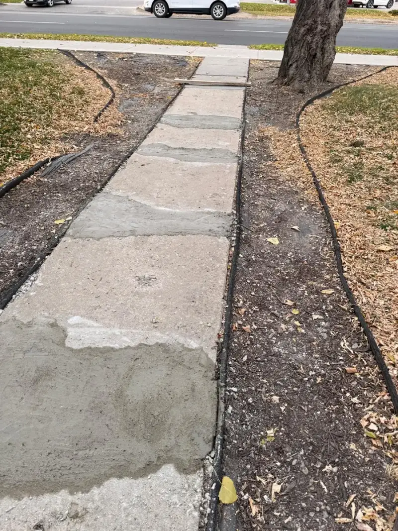 Replaced concrete walk panels with black landscape edging on both sides